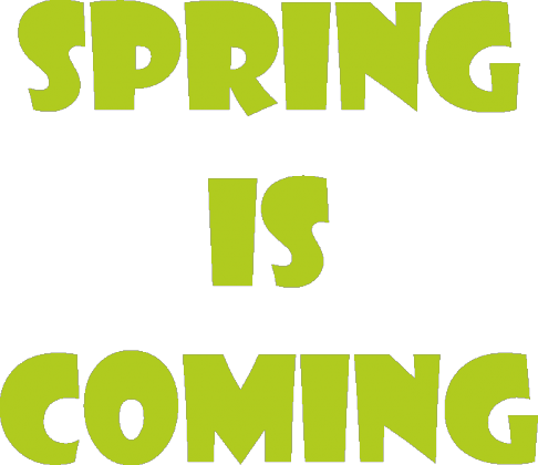 Koszulka męska - Spring Is Coming - NWK