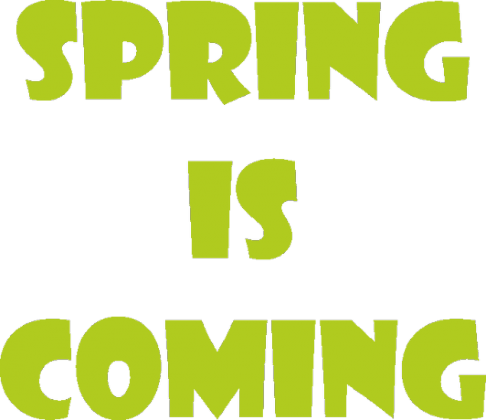 Koszulka damska - Spring Is Coming - NWK