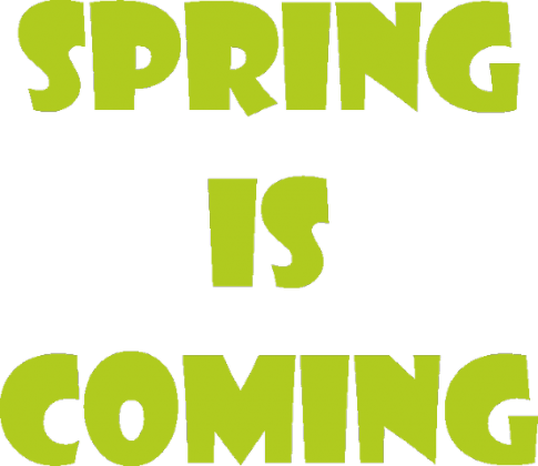 Bluza damska - Spring Is Coming - NWK