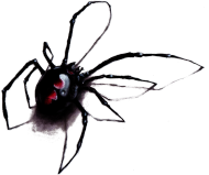 Czarna wdowa - bluza dla niego