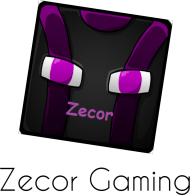Napis Zecor Gaming i grafika profilową