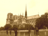 Kubek Francja Paryż Katedra Notre-Dame