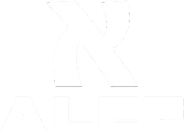 T-shirt ALEF - różne kolory męska