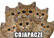 Co ja pacze 2