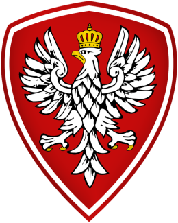 Bluza - Orzeł