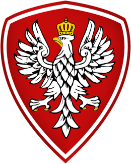Bluza z kapturem - Orzeł