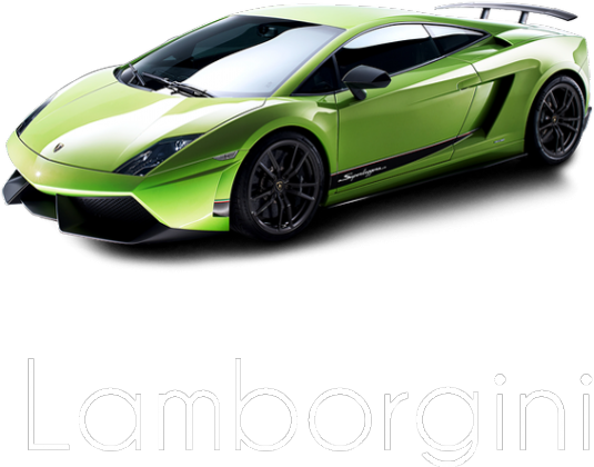 lamborgini bluza