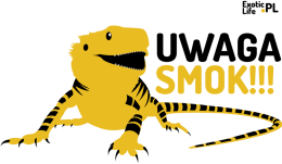 Smok
