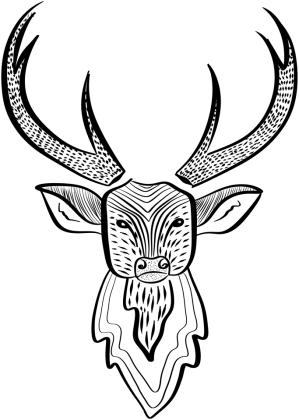 Rogacz