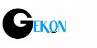 2012 Gekon