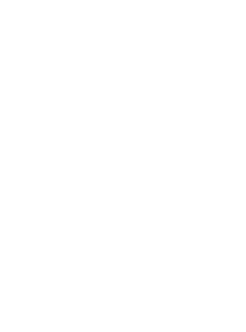 Bear steps white