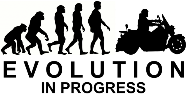 EVOLUTION CRUISER (9 kolorów)