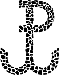 Poska walcząca- bluza damska