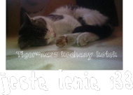 Jestę Lenię - ubranie dla leni