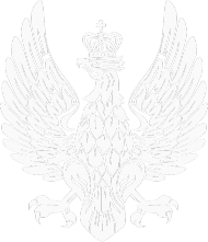 T-shirt Biały Orzeł