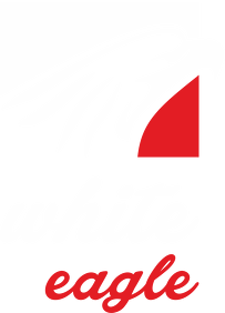 T-shirt Biały Orzeł