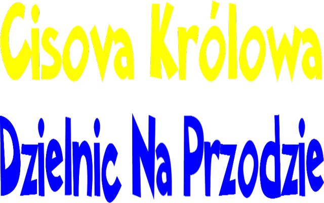 Bluza - Cisova Królowa Dzielnic Na Przodzie / MZKS Arka Gdynia