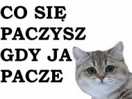 Kto Paczy