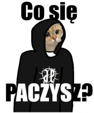 Kto Paczy