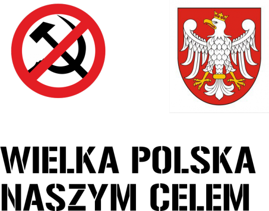 Koszulka Wielka Polska