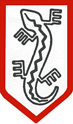Koszulka NSZ
