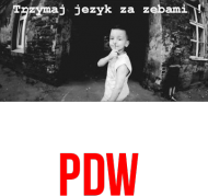 PDW FFB