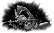 Shark Bluza