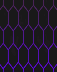 Electric Hive 1