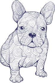 Doodle dog