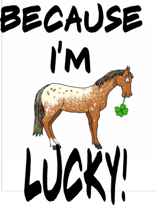 Because I'm Lucky!