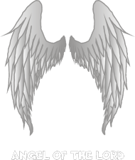 Anielskie skrzydła
