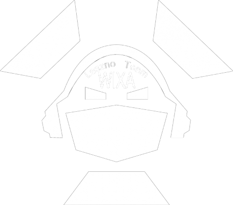 T-Shirt Wixa