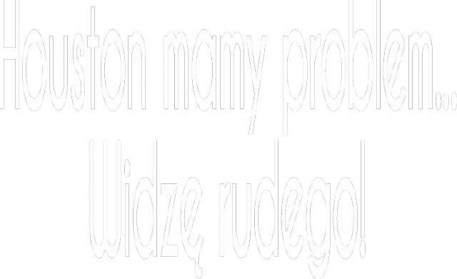 Houston mamy problem