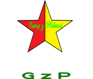 Koszulka Damska "Gwiazda Gangu"