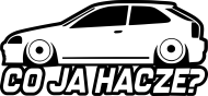 Co ja hacze - Civic (kubek panorama) cg
