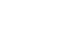 i work hard - CAT (koszulka męska) jg
