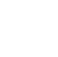 i work hard - CAT (koszulka damska) jg