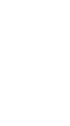 Step bro help (koszulka damska) jg