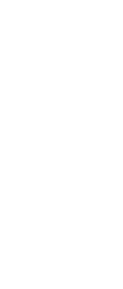 KISS MY ASS (bluza damska kaptur) jg