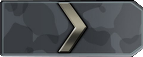 Silver 1 w sercu - Silver 1 w skillu