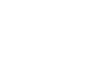 The Waterforge - Mandolina