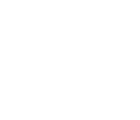 The Waterforge - Mandolina