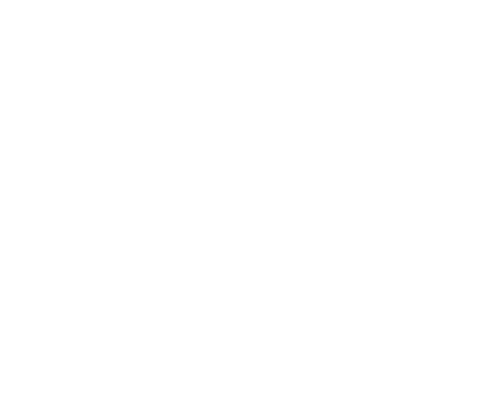 The Waterforge - Mandolina