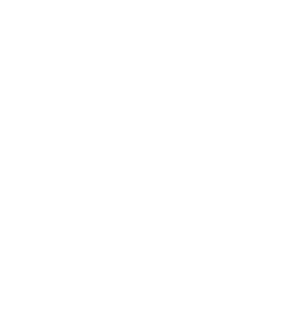 koszulka męska (różne kolory): MISTRZ CIENKIEJ RIPOSTY