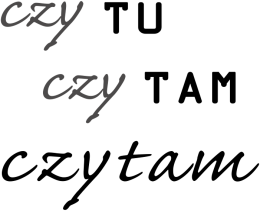koszulka damska (różne kolory): CZY TU CZY TAM CZYTAM