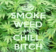 Koszula Smoke Weed & Chill Bitch