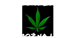 PO CO JEŹDZIĆ