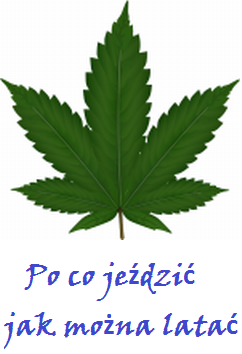 liść