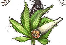 Dr.Joint