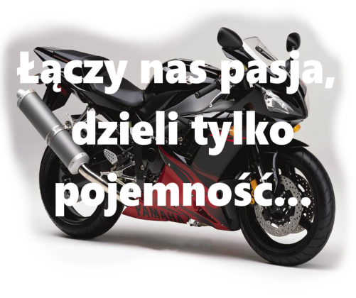 T-shirt "Łączy nas pasja" męski